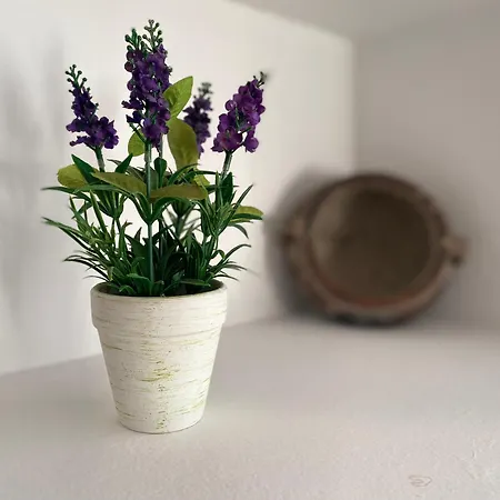 Piso En San Roque, Centro Neuralgico Del Campo De Gibraltar Lägenhet San Roque (Andalucia)